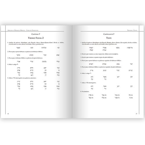 Aprenda o Hebraico Bíblico - Livro de Exercícios