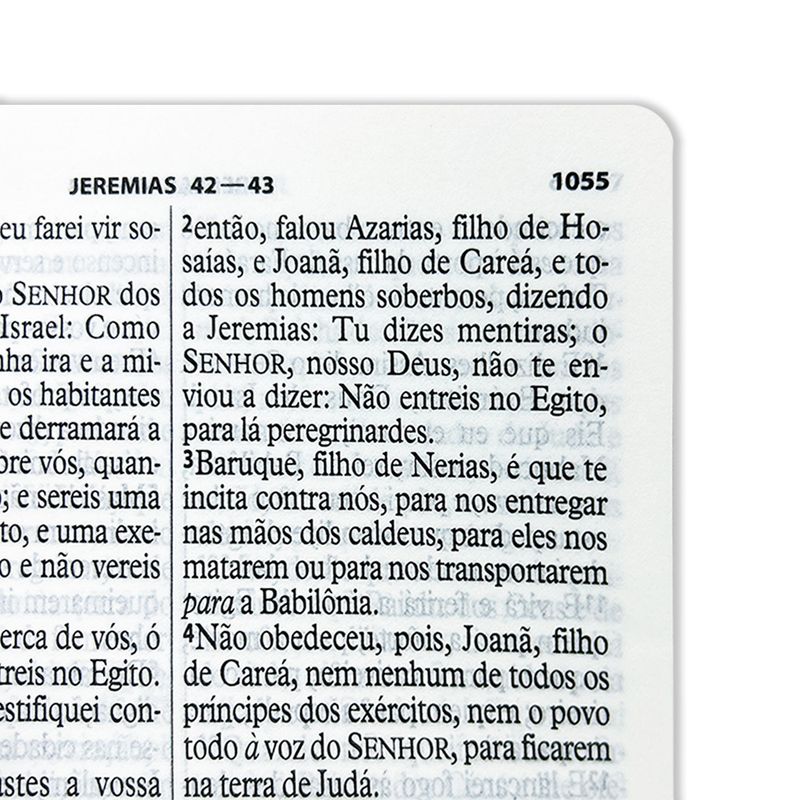 biblias