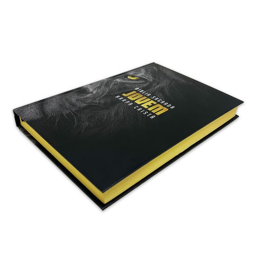 Bíblia Grande Harpa Cristã Slim Capa Dura Jovem (Leão-Fundo Preto)