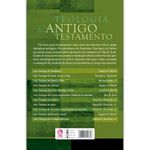 Teologia-do-Antigo-Testamento--Brochura-