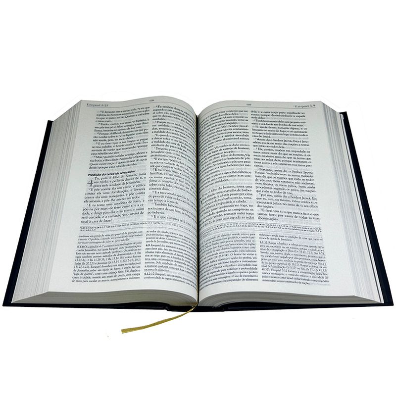 Biblia-de-Estudo-em-Defesa-da-Fe