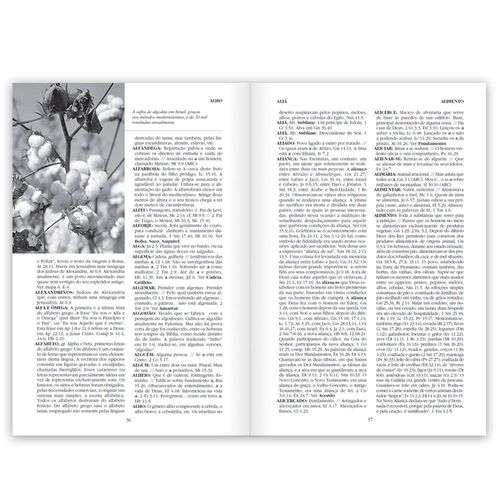 Pequena Enciclopédia Bíblica (Brochura)