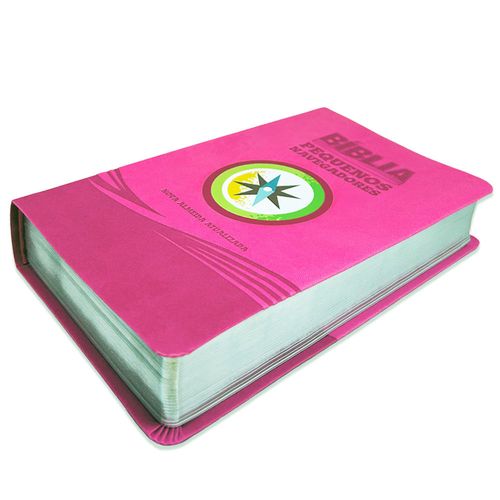 Bíblia Pequenos Navegadores Luxo Rosa