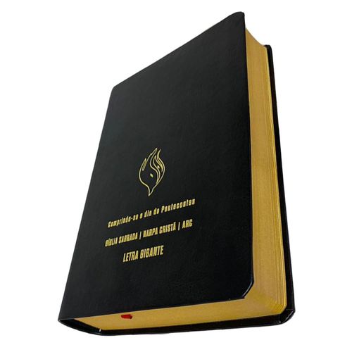 Bíblia Grande Harpa Cristã Econômica Letra Gigante Preta (Pentecostes)