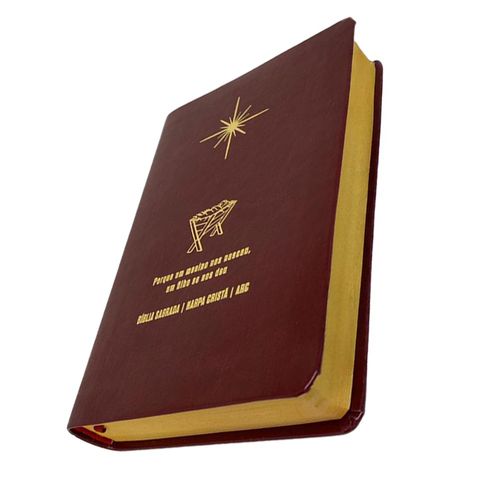 Bíblia Grande Harpa Cristã Econômica Letra Grande Vinho (Natal)