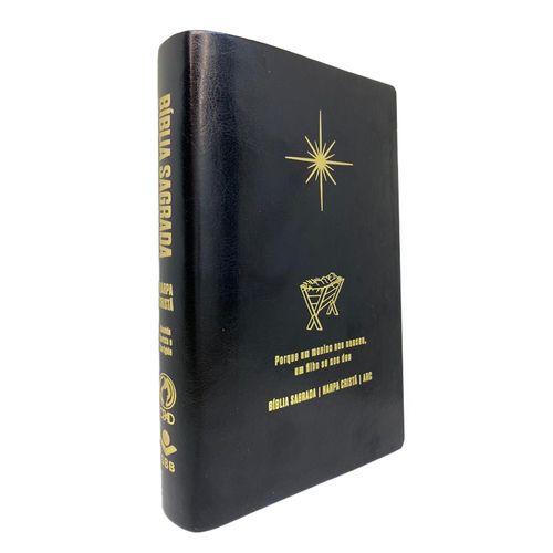 Bíblia Grande Harpa Cristã Econômica Letra Grande Preta (Natal)