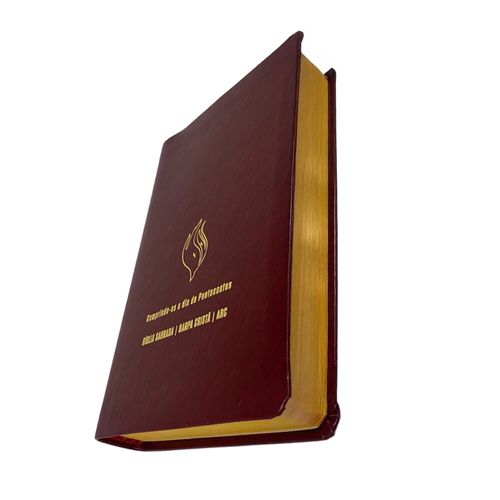 Bíblia Grande Harpa Cristã Econômica Letra Grande Vinho (Pentecostes)