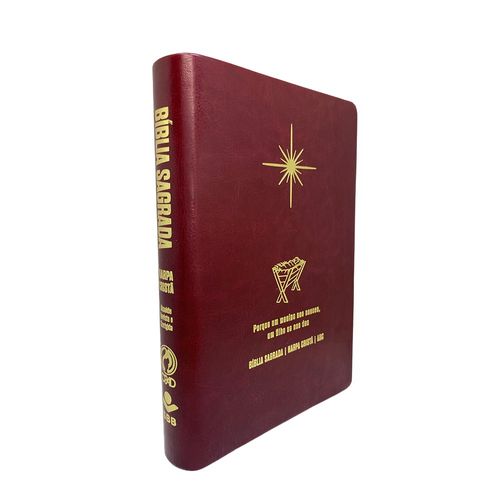 Bíblia Grande Harpa Cristã Econômica Letra Grande Vinho (Natal)