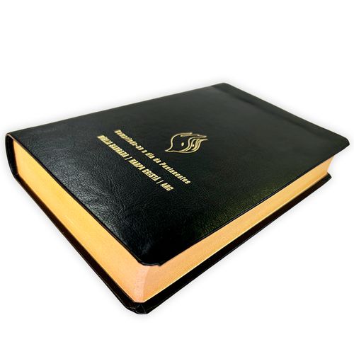 Bíblia Grande Harpa Cristã Econômica Letra Grande Preta (Pentecostes)